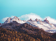 半岛体育官方网站-亚特兰大4-1多特总比分4-3晋级 本塞拜尼补时送点